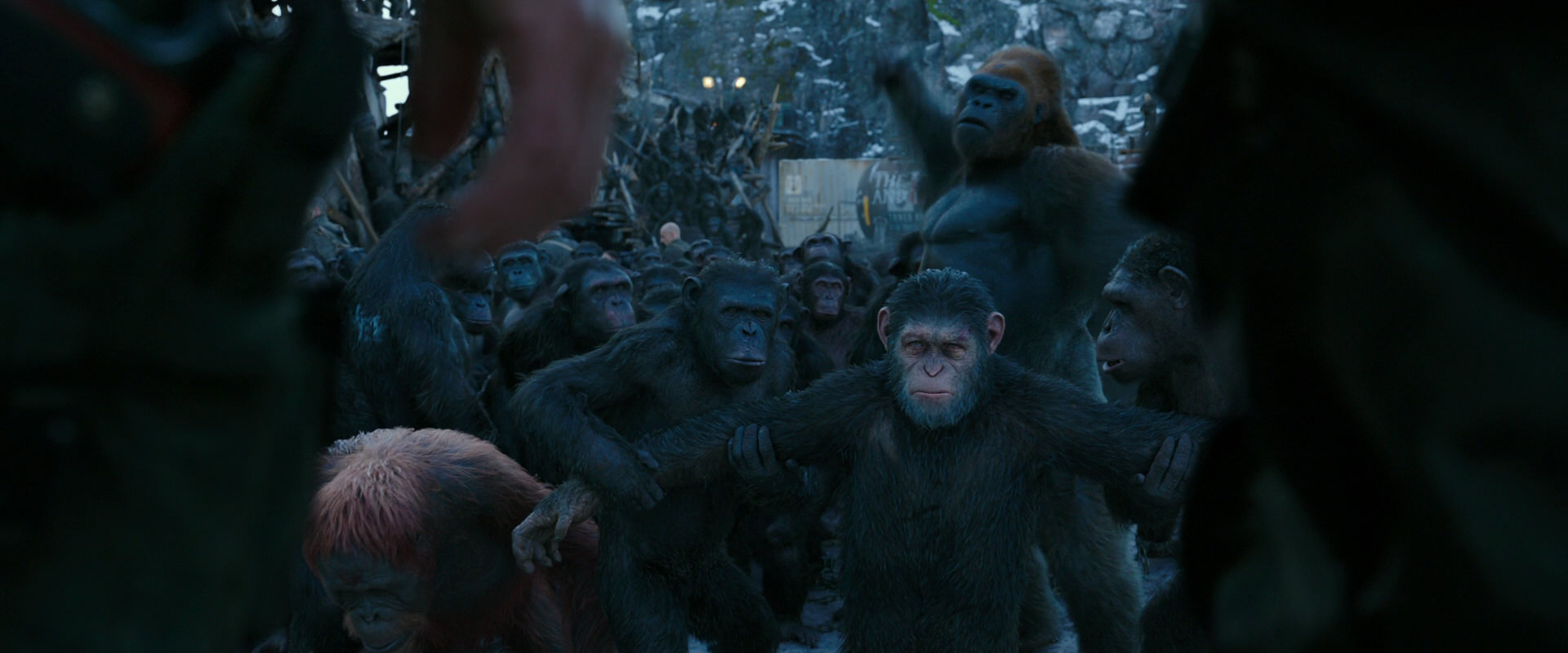 War for the Planet of the Apes (2017) screencap 8496