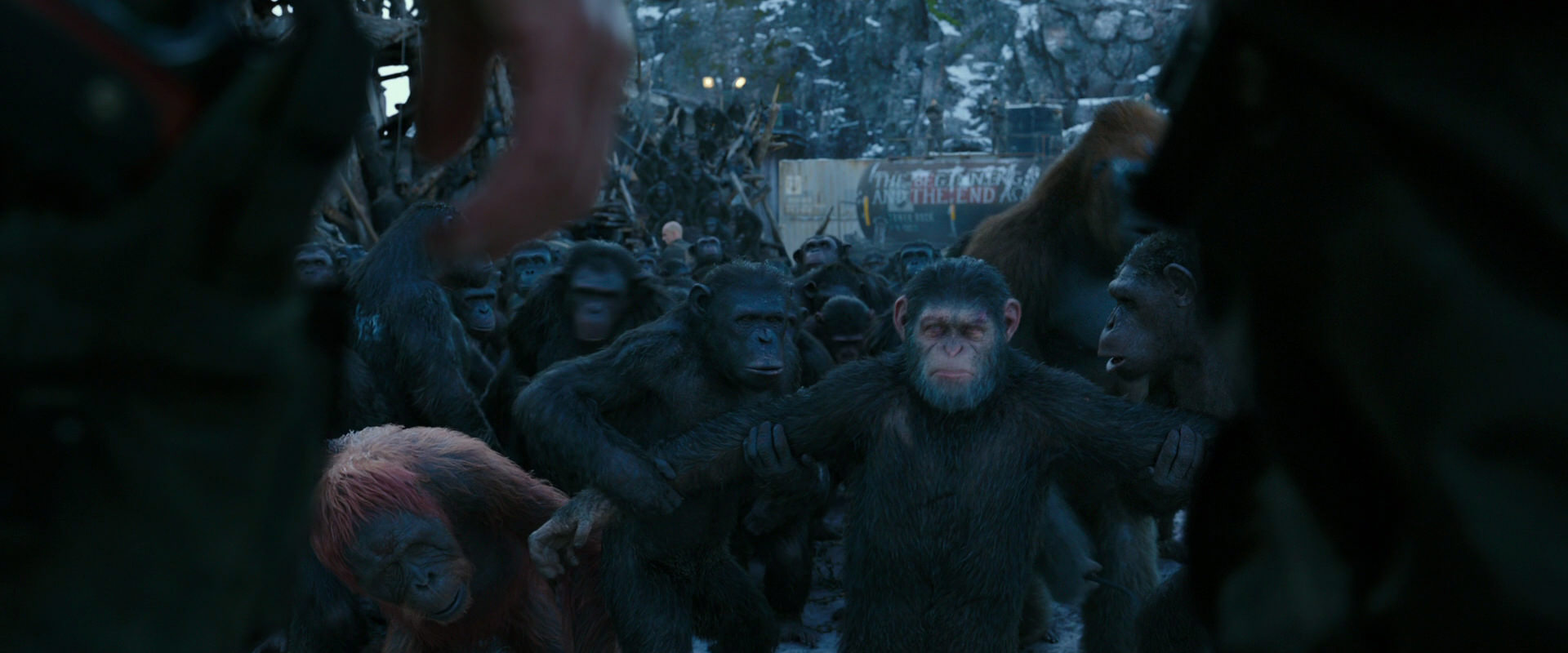 War for the Planet of the Apes (2017) movie still 8497