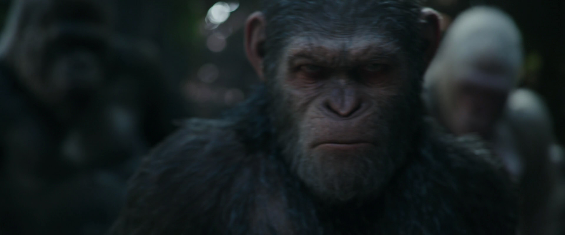 War for the Planet of the Apes (2017) movie still 850