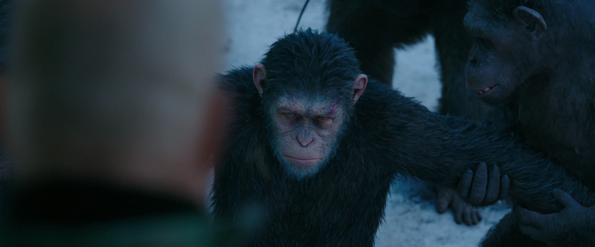 War for the Planet of the Apes (2017) movie still 8509