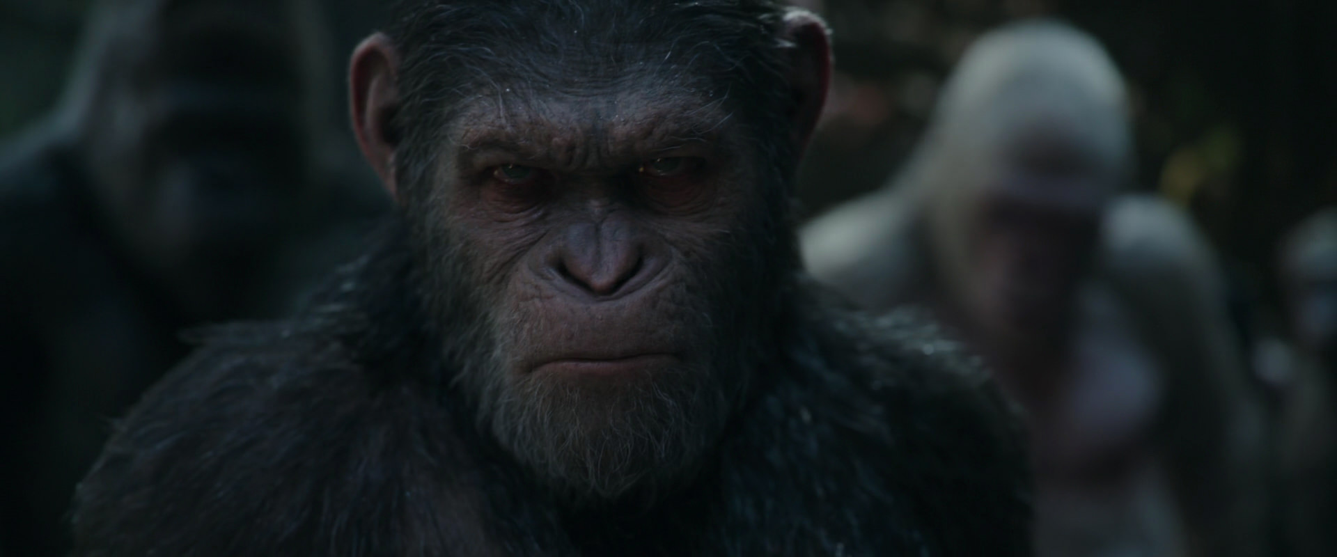 War for the Planet of the Apes (2017) HD screenshot 851
