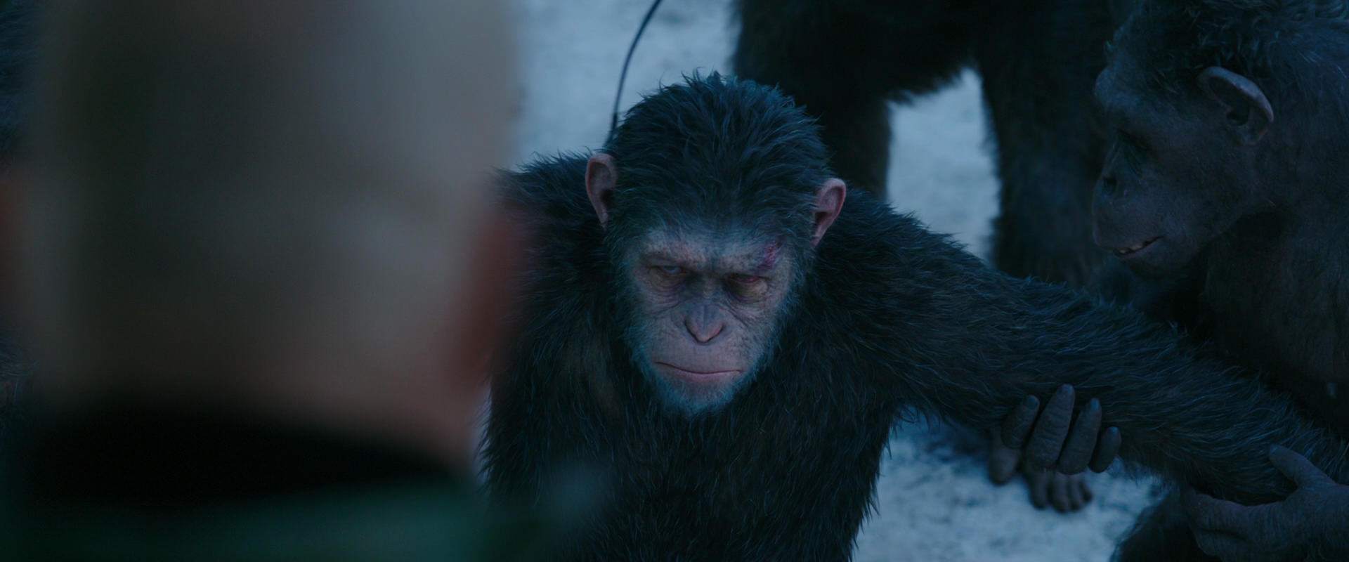 War for the Planet of the Apes (2017) HD screenshot 8510