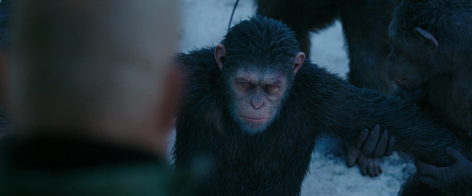 War for the Planet of the Apes (2017) screencap 8511