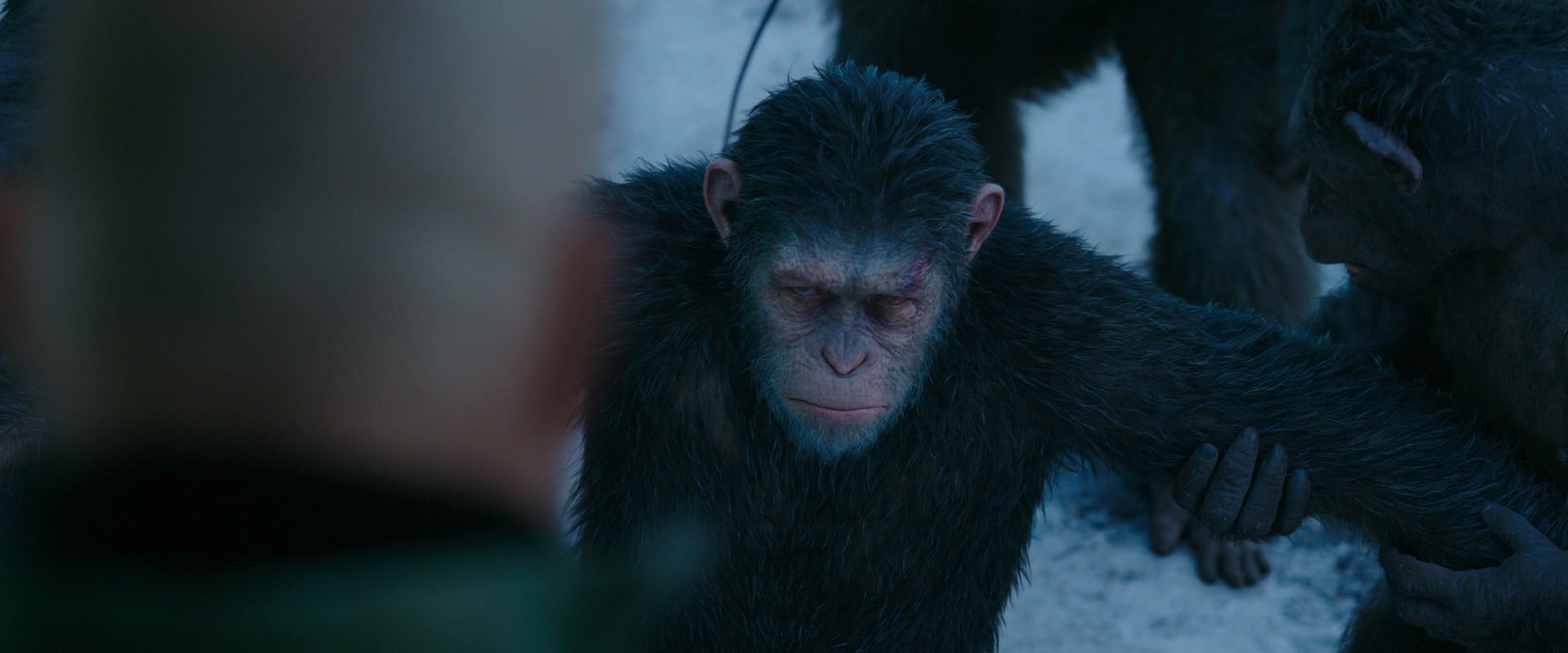 War for the Planet of the Apes (2017) movie still 8512