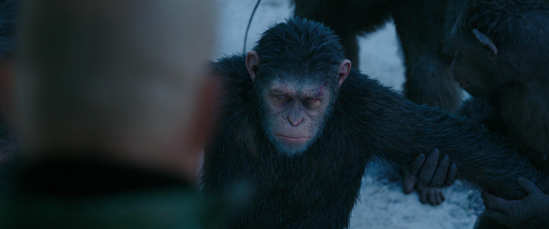 War for the Planet of the Apes (2017) HD screenshot 8513