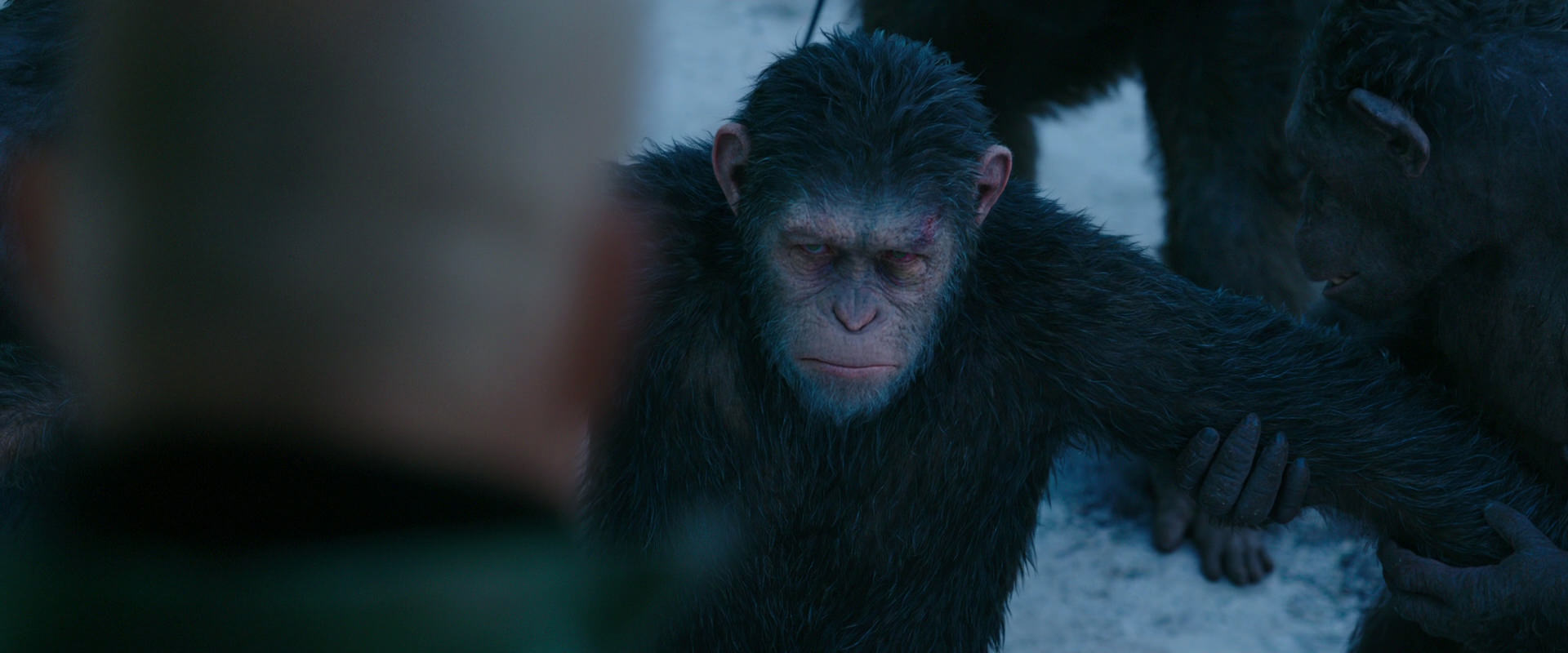 War for the Planet of the Apes (2017) screencap 8514