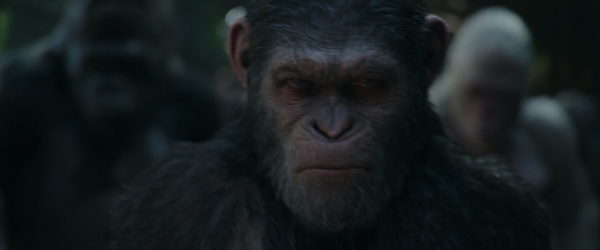 War for the Planet of the Apes (2017) screencap 852