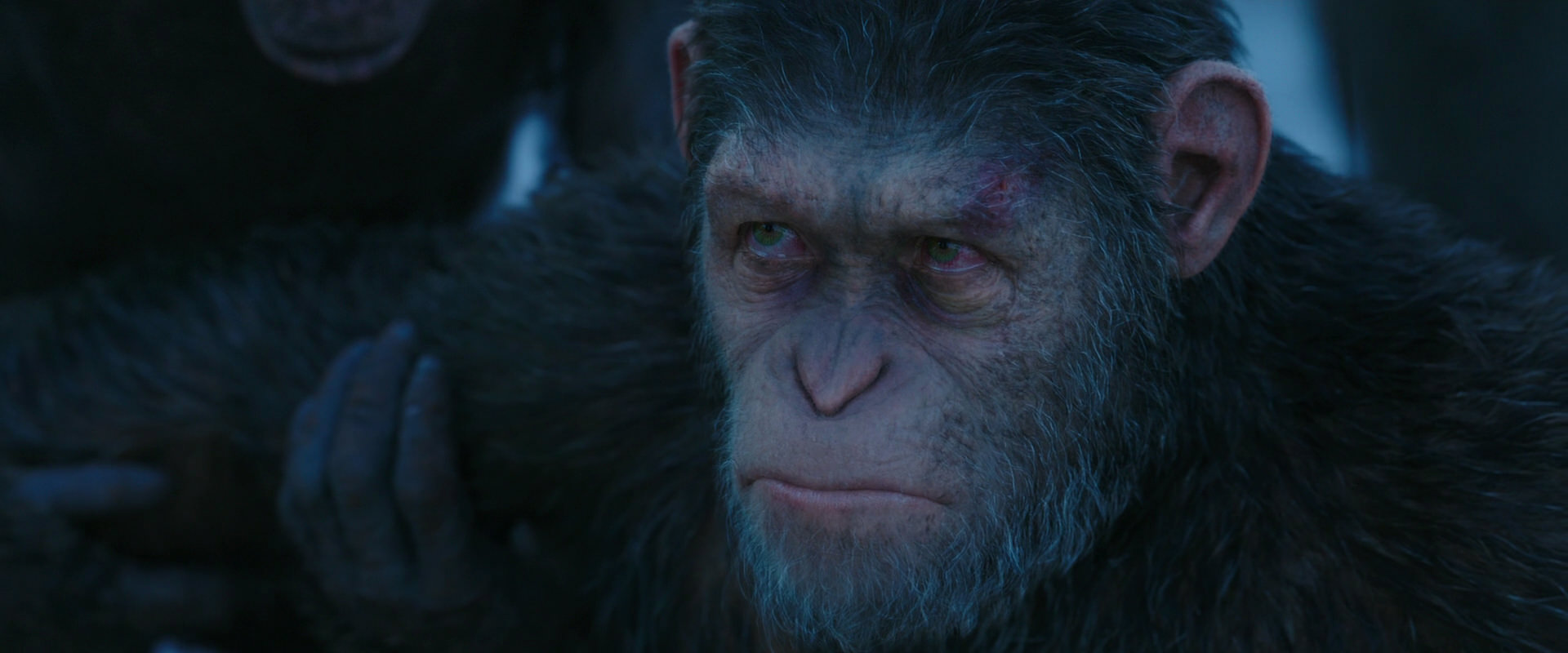 War for the Planet of the Apes (2017) movie still 8521