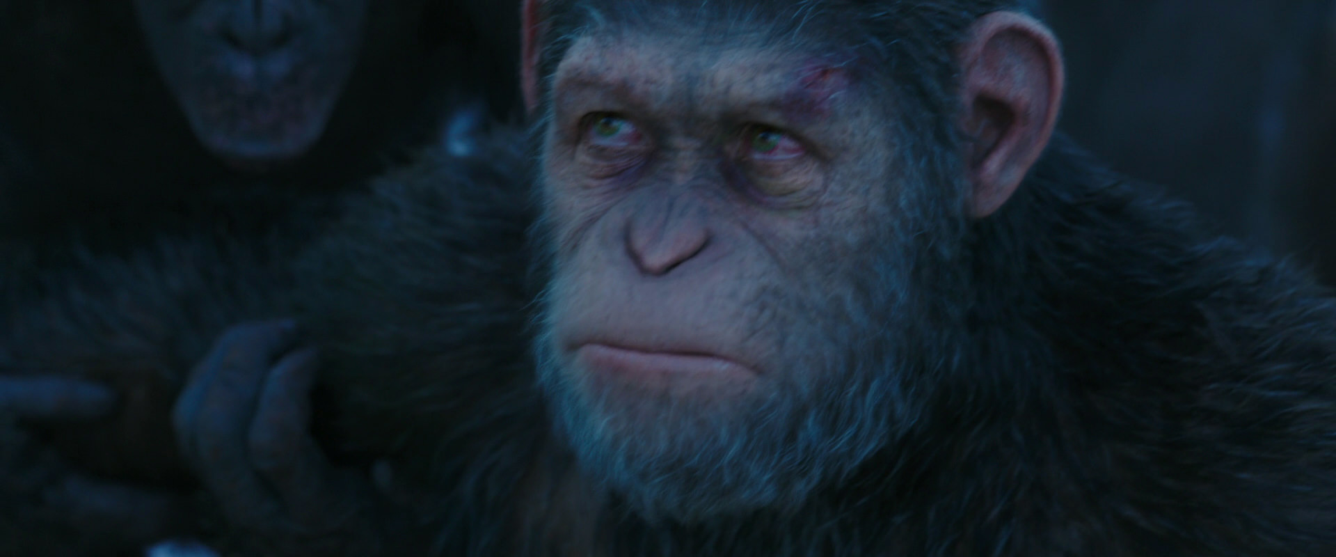 War for the Planet of the Apes (2017) HD screenshot 8522