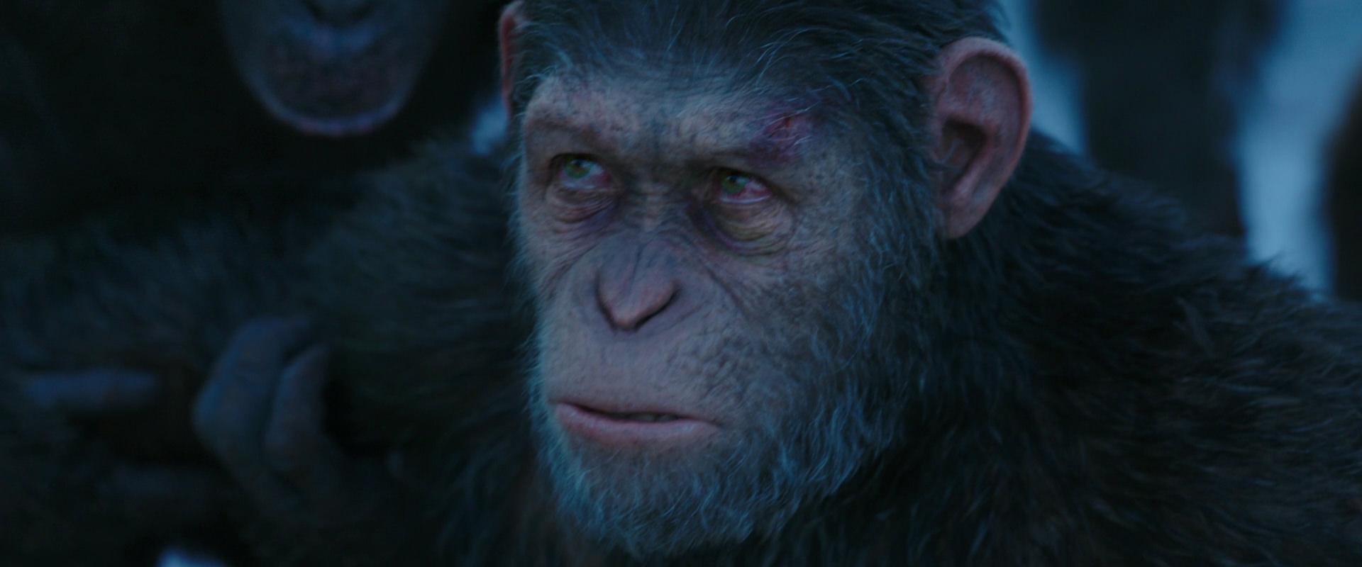 War for the Planet of the Apes (2017) screencap 8523