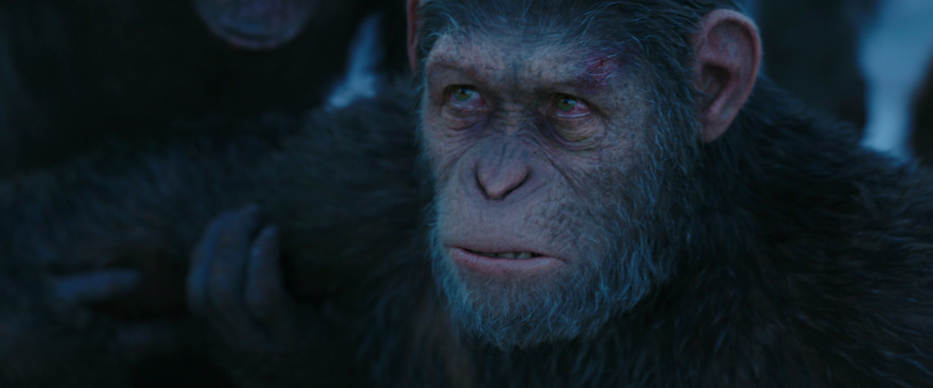 War for the Planet of the Apes (2017) movie still 8524