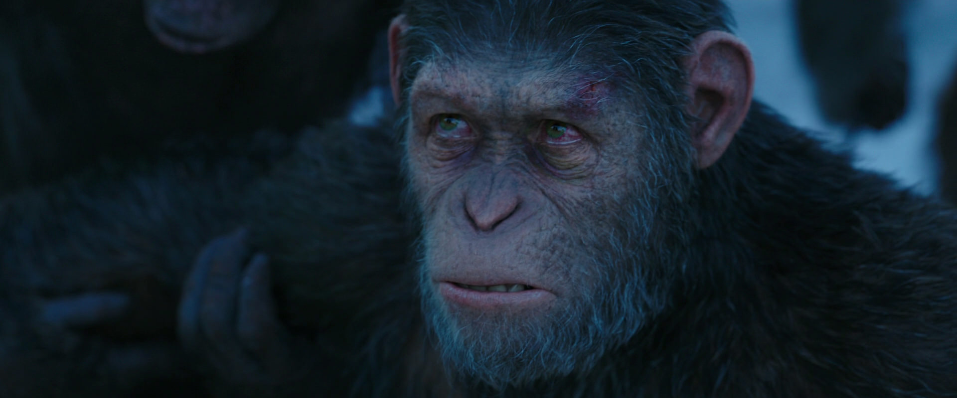 War for the Planet of the Apes (2017) HD screenshot 8525
