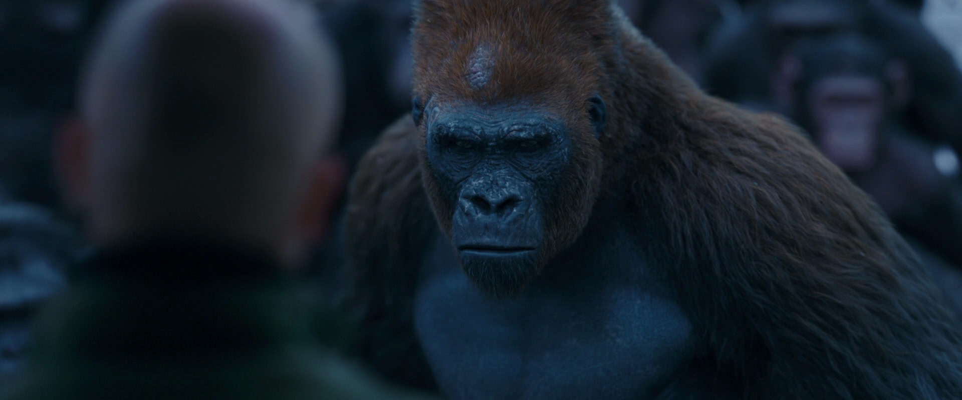 War for the Planet of the Apes (2017) HD screenshot 8528