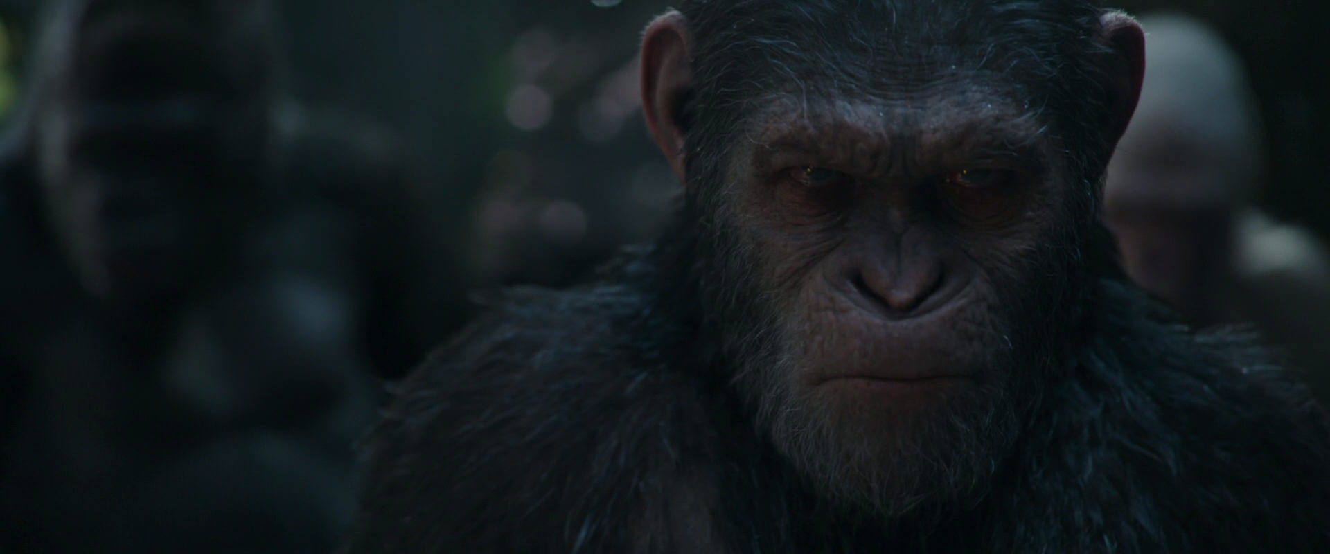 War for the Planet of the Apes (2017) movie still 853