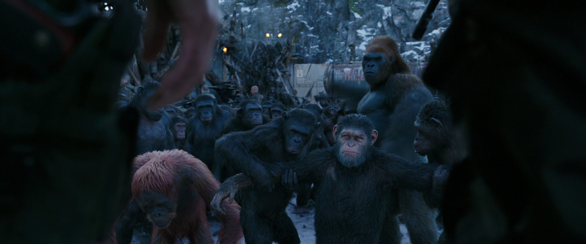 War for the Planet of the Apes (2017) HD screenshot 8537