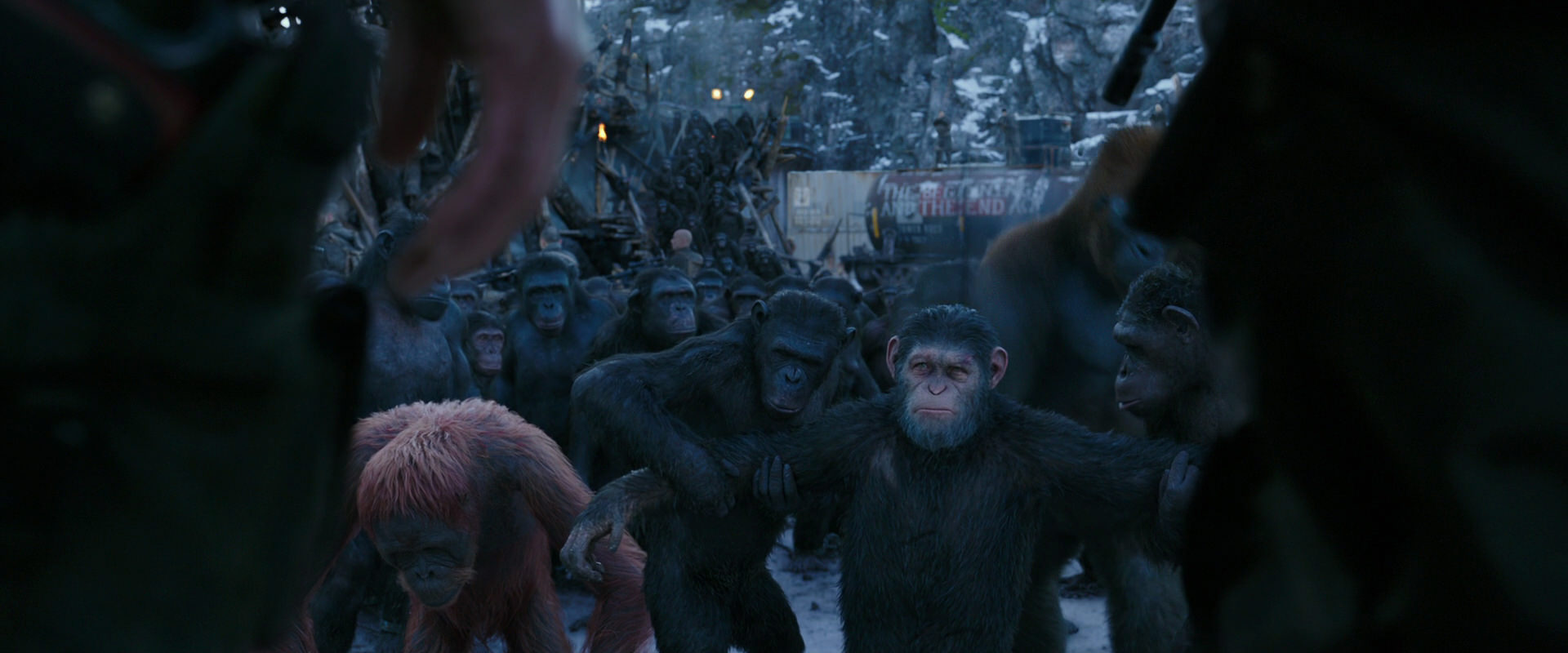 War for the Planet of the Apes (2017) screencap 8538
