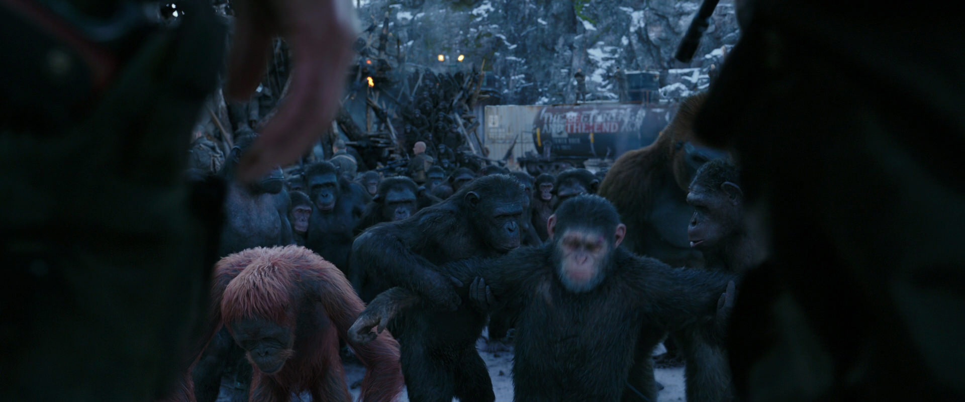 War for the Planet of the Apes (2017) movie still 8539