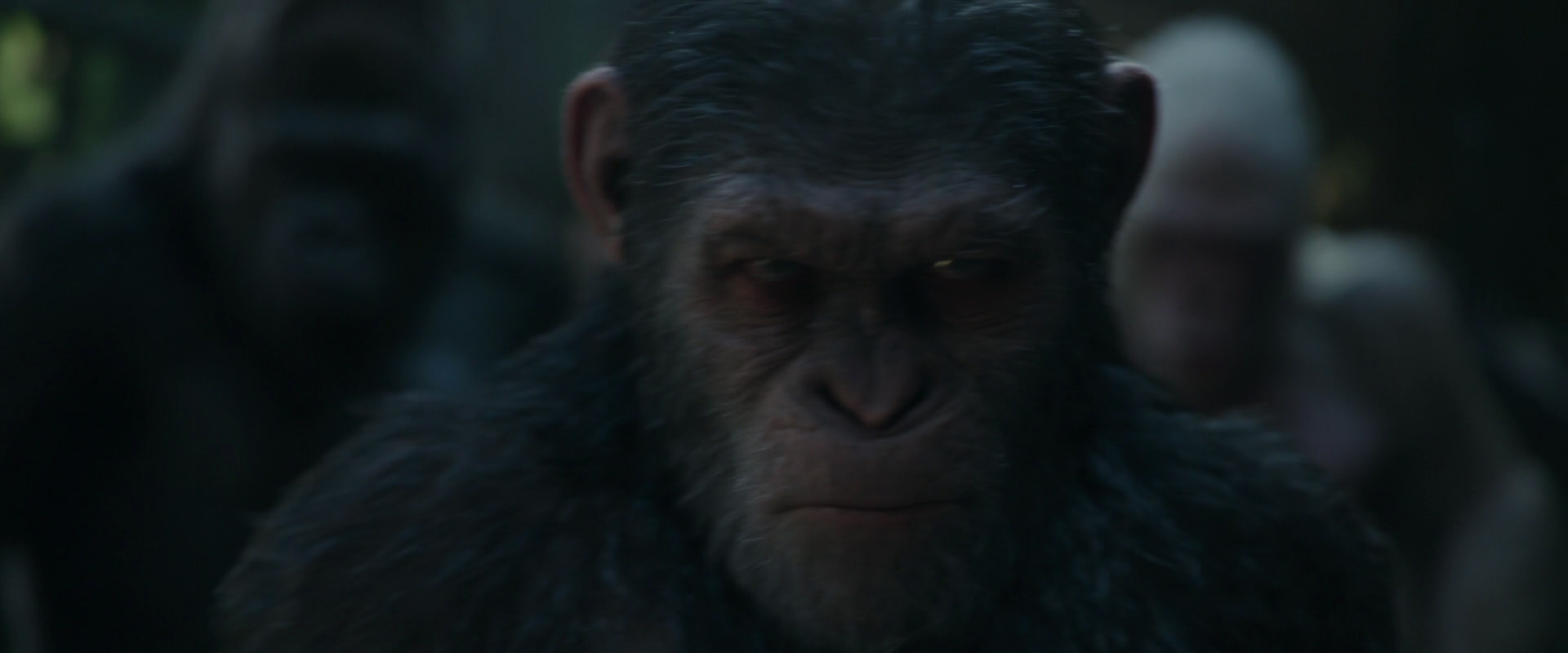 War for the Planet of the Apes (2017) HD screenshot 854