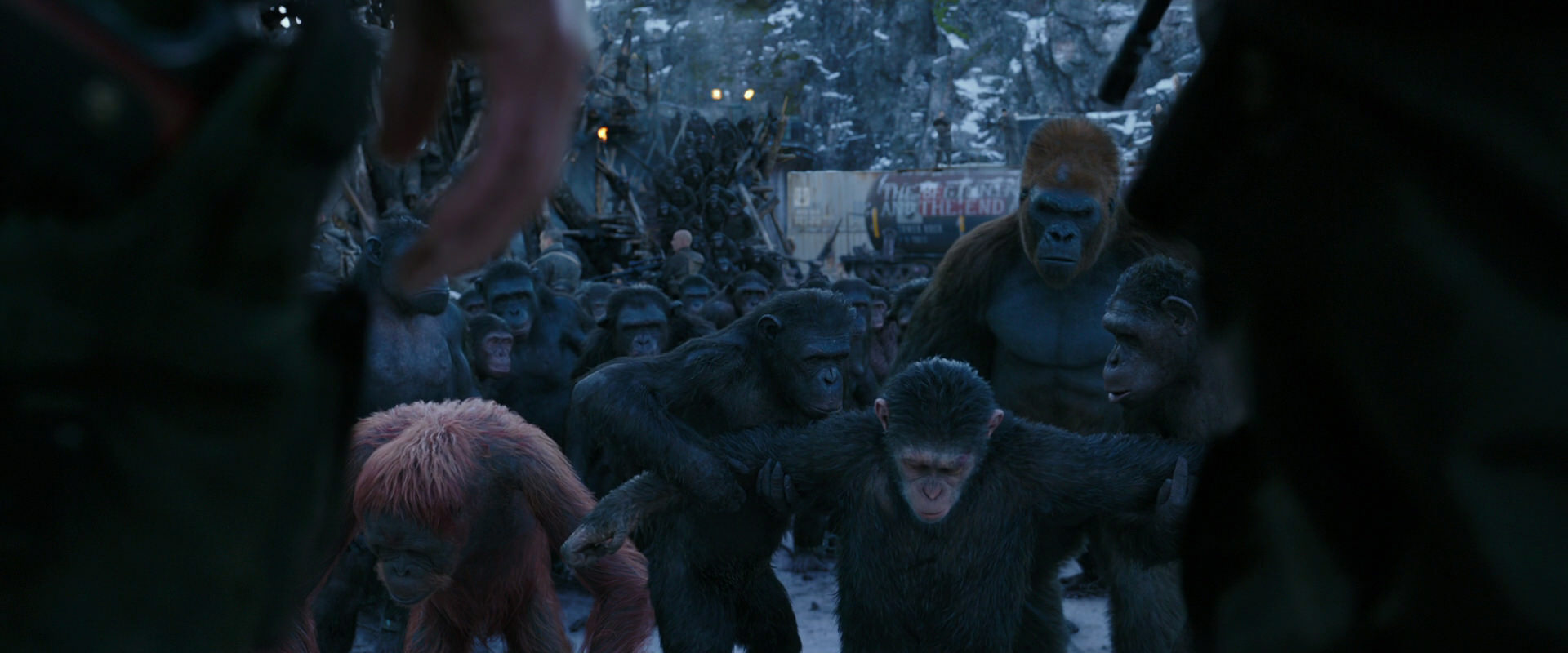 War for the Planet of the Apes (2017) HD screenshot 8540