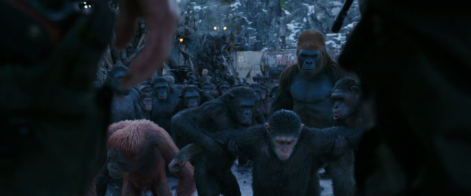 War for the Planet of the Apes (2017) screencap 8541