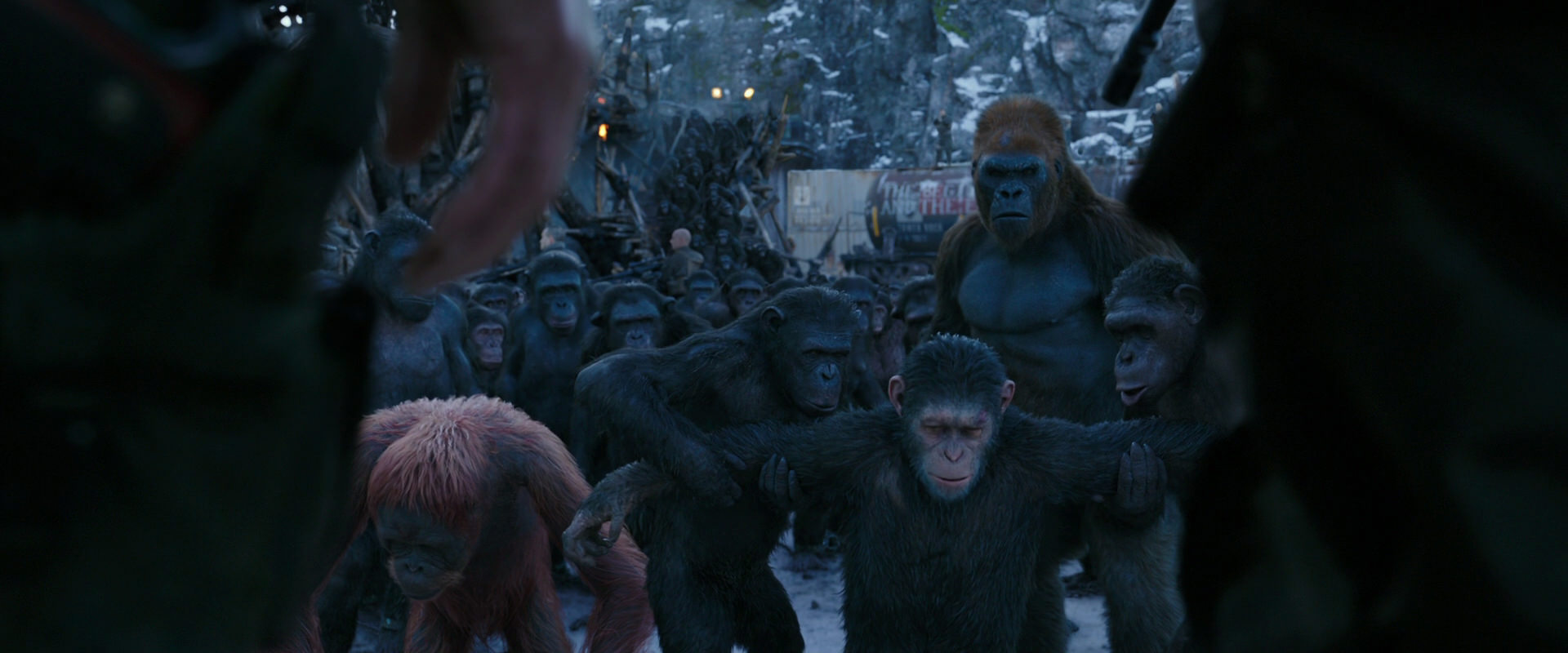 War for the Planet of the Apes (2017) movie still 8542