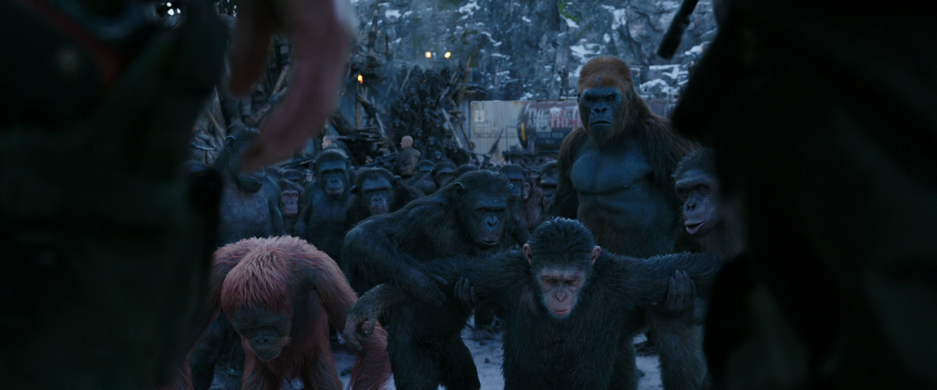War for the Planet of the Apes (2017) HD screenshot 8543