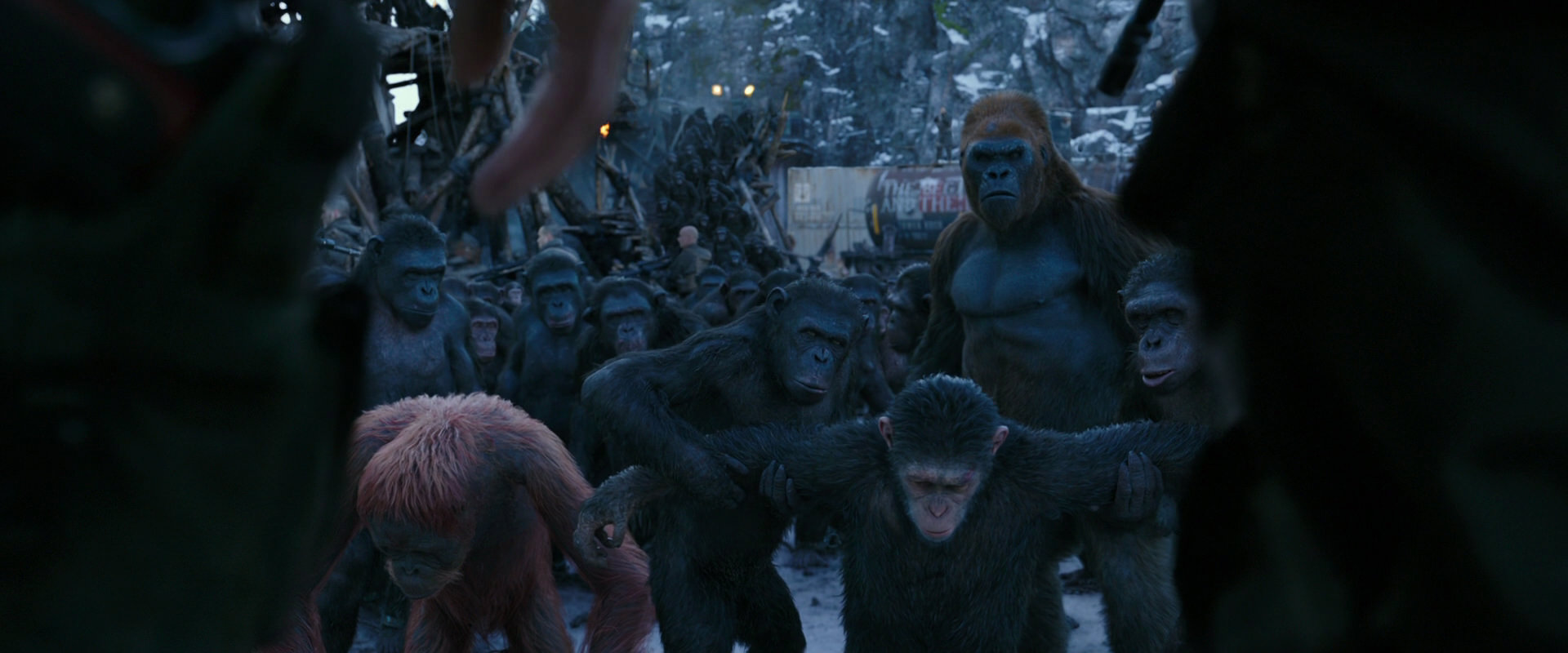 War for the Planet of the Apes (2017) screencap 8544