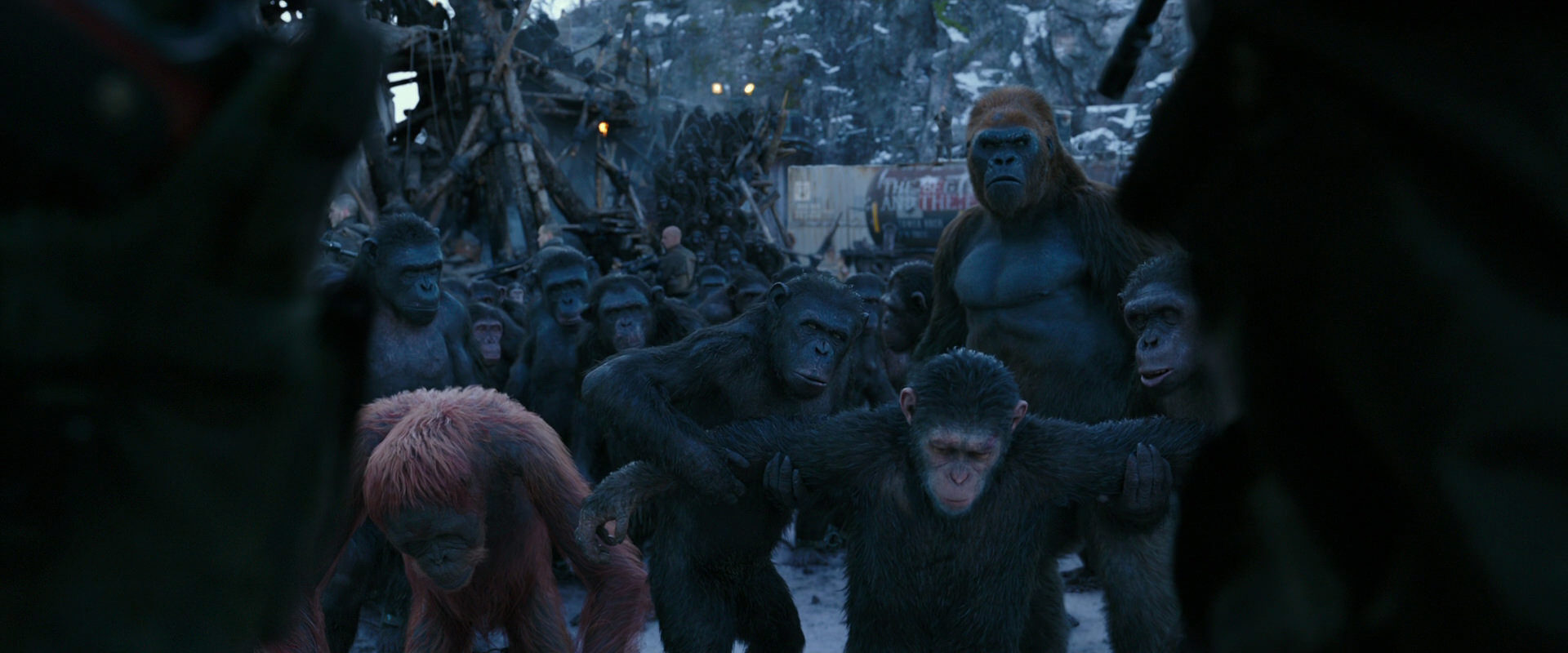 War for the Planet of the Apes (2017) movie still 8545