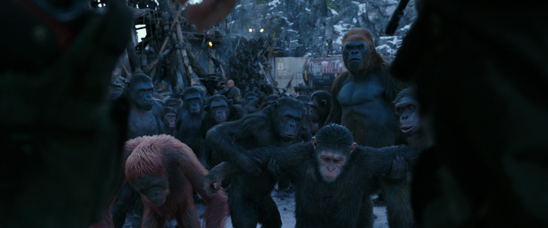 War for the Planet of the Apes (2017) HD screenshot 8546