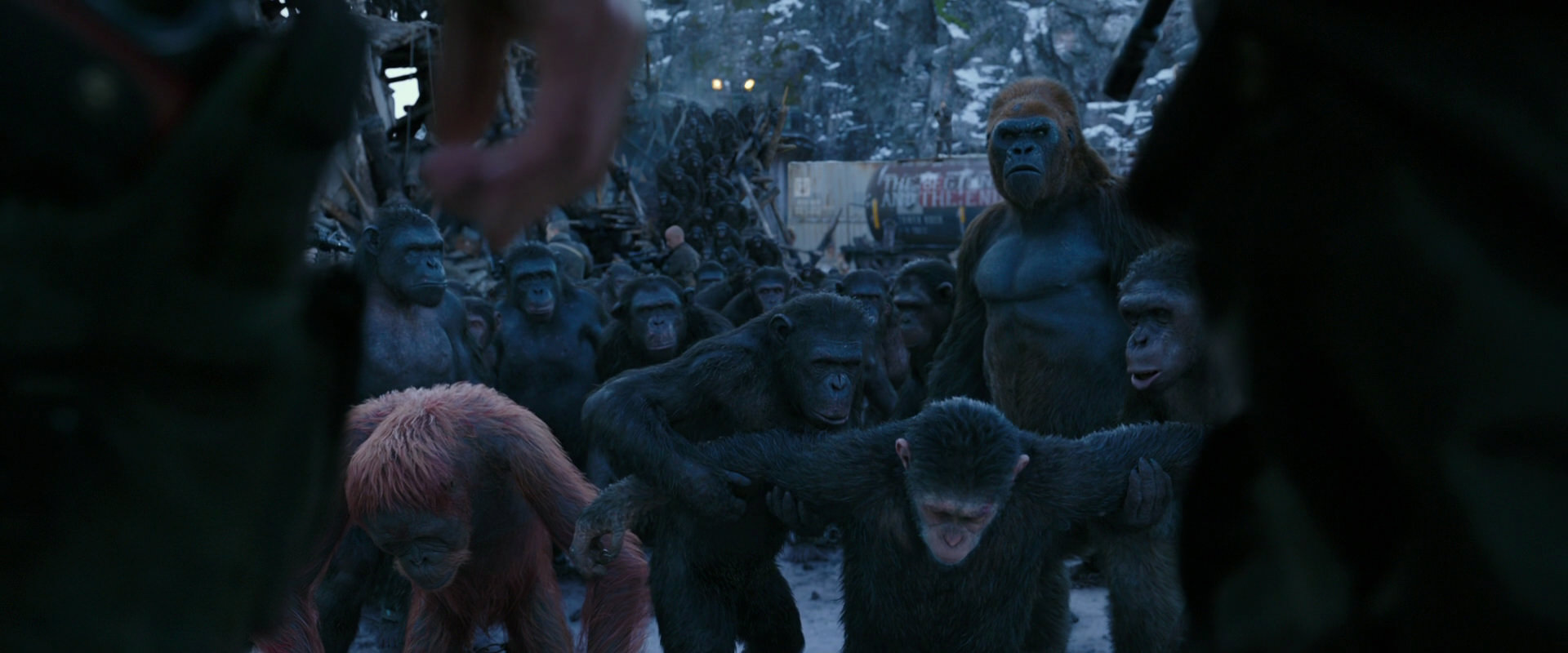 War for the Planet of the Apes (2017) screencap 8547