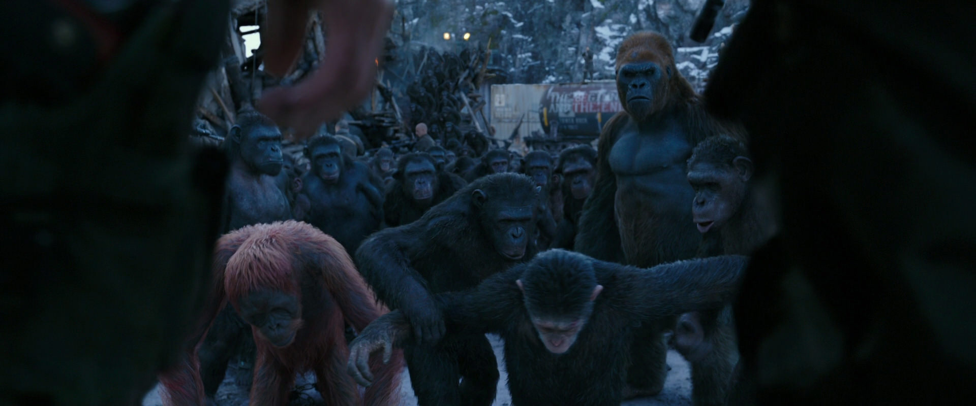 War for the Planet of the Apes (2017) movie still 8548