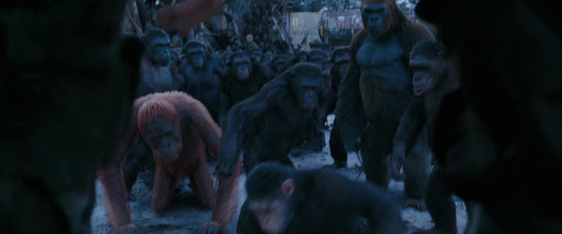 War for the Planet of the Apes (2017) HD screenshot 8549