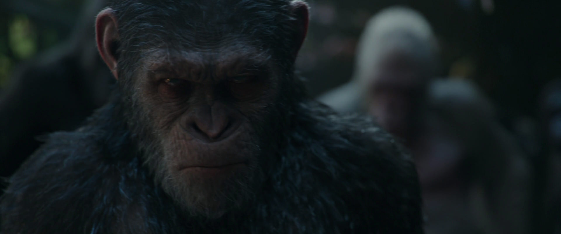 War for the Planet of the Apes (2017) screencap 855