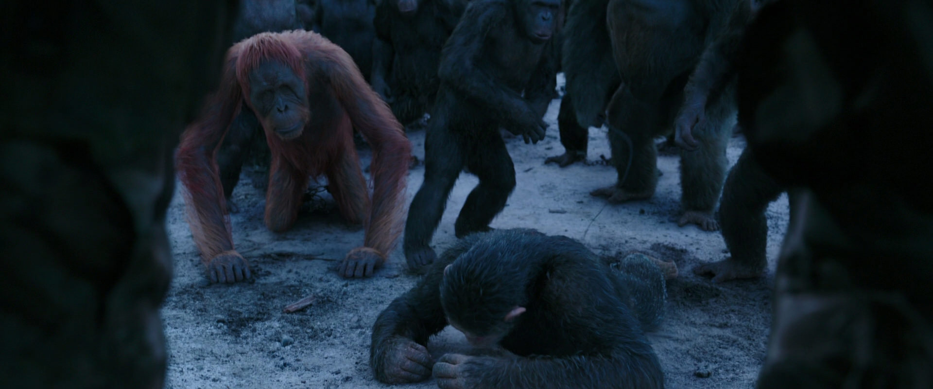 War for the Planet of the Apes (2017) screencap 8550