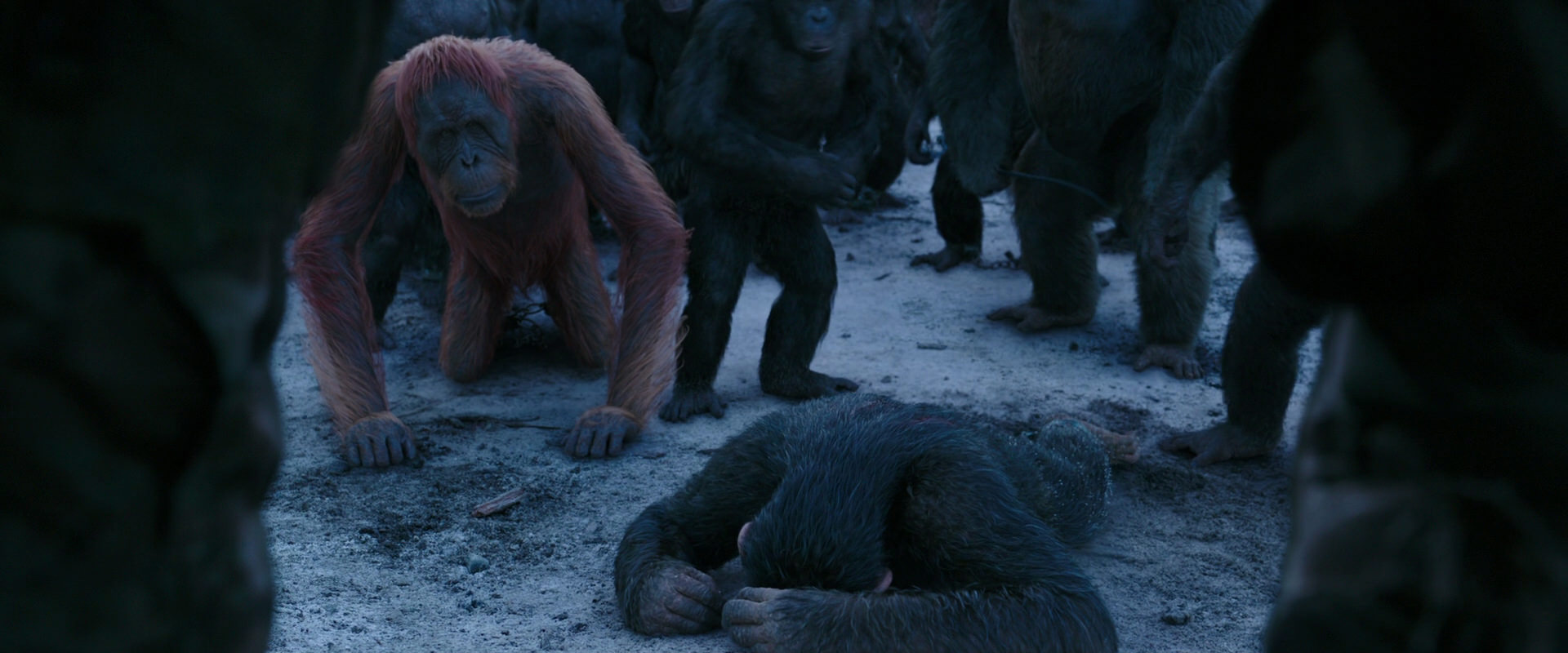 War for the Planet of the Apes (2017) movie still 8551