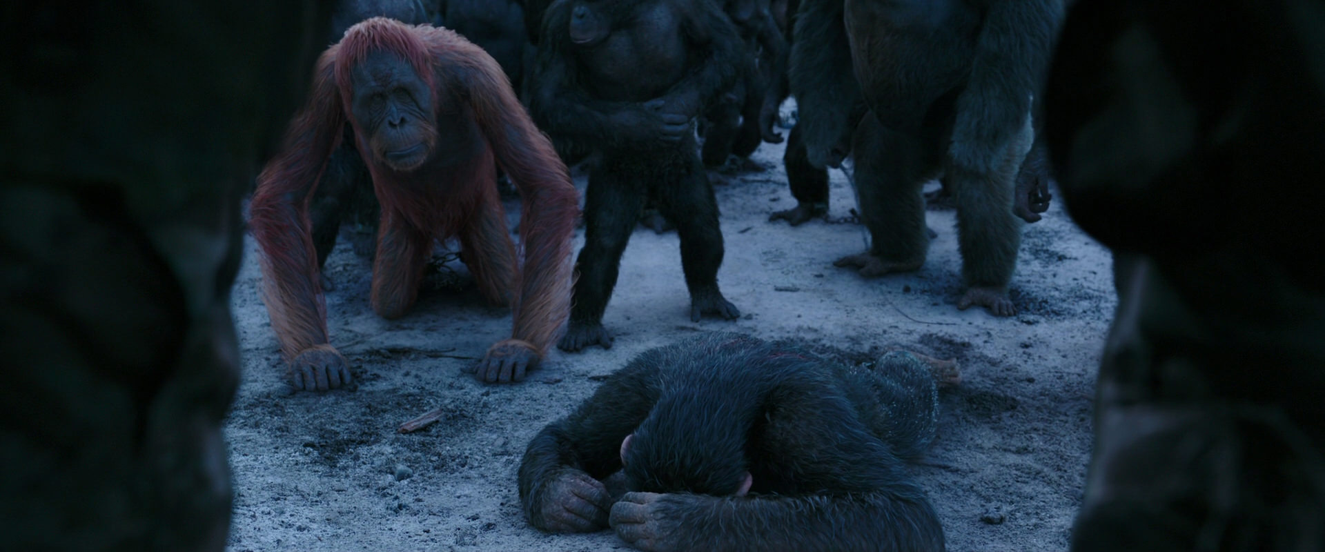 War for the Planet of the Apes (2017) HD screenshot 8552