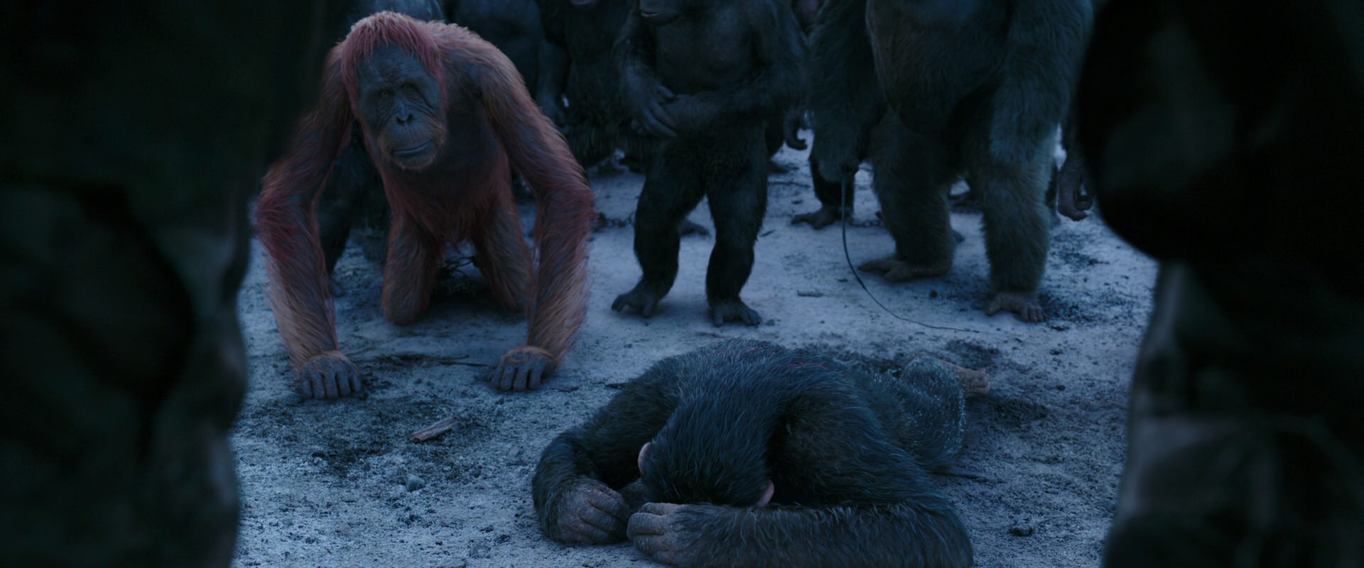 War for the Planet of the Apes (2017) screencap 8553