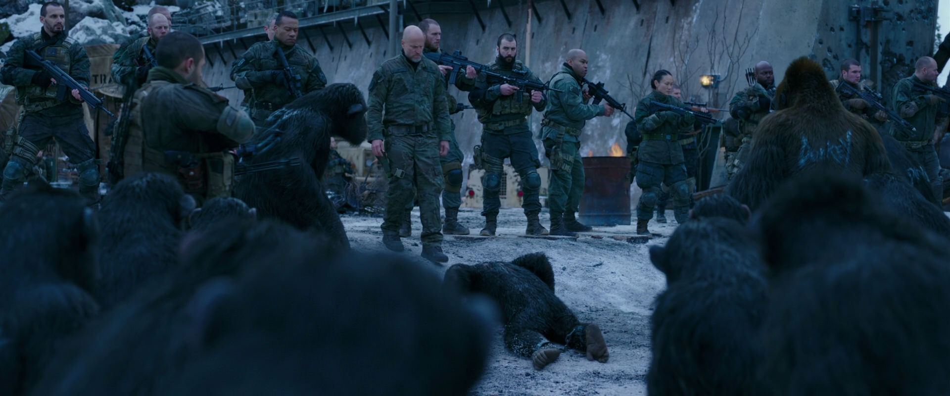 War for the Planet of the Apes (2017) screencap 8556