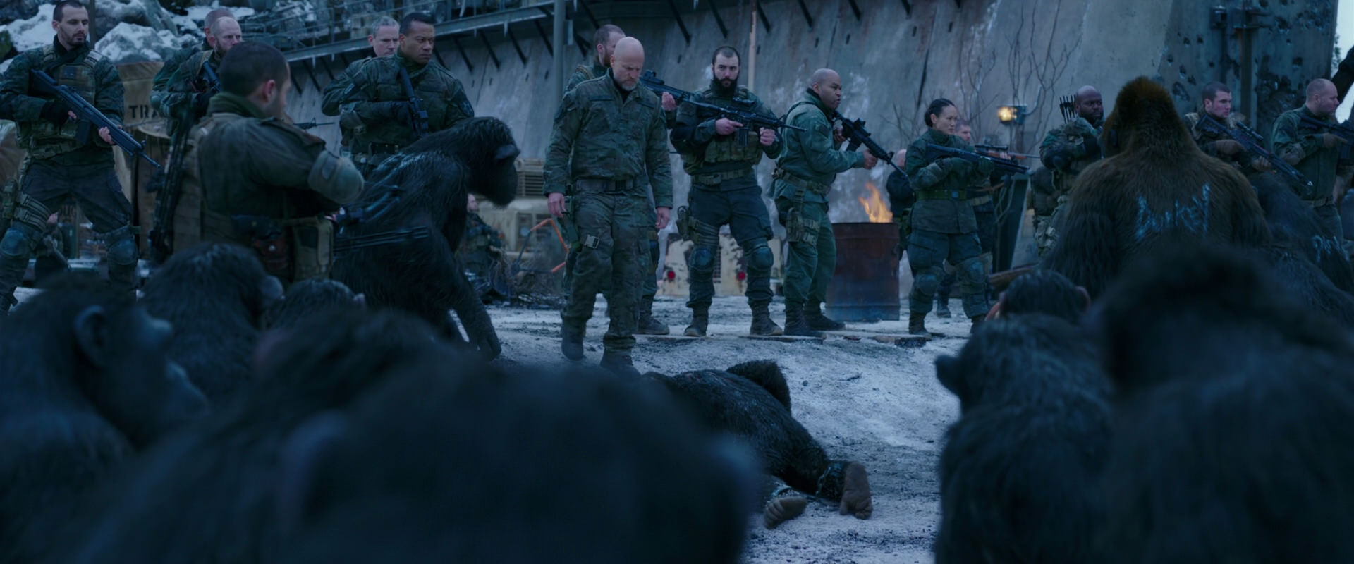 War for the Planet of the Apes (2017) movie still 8557