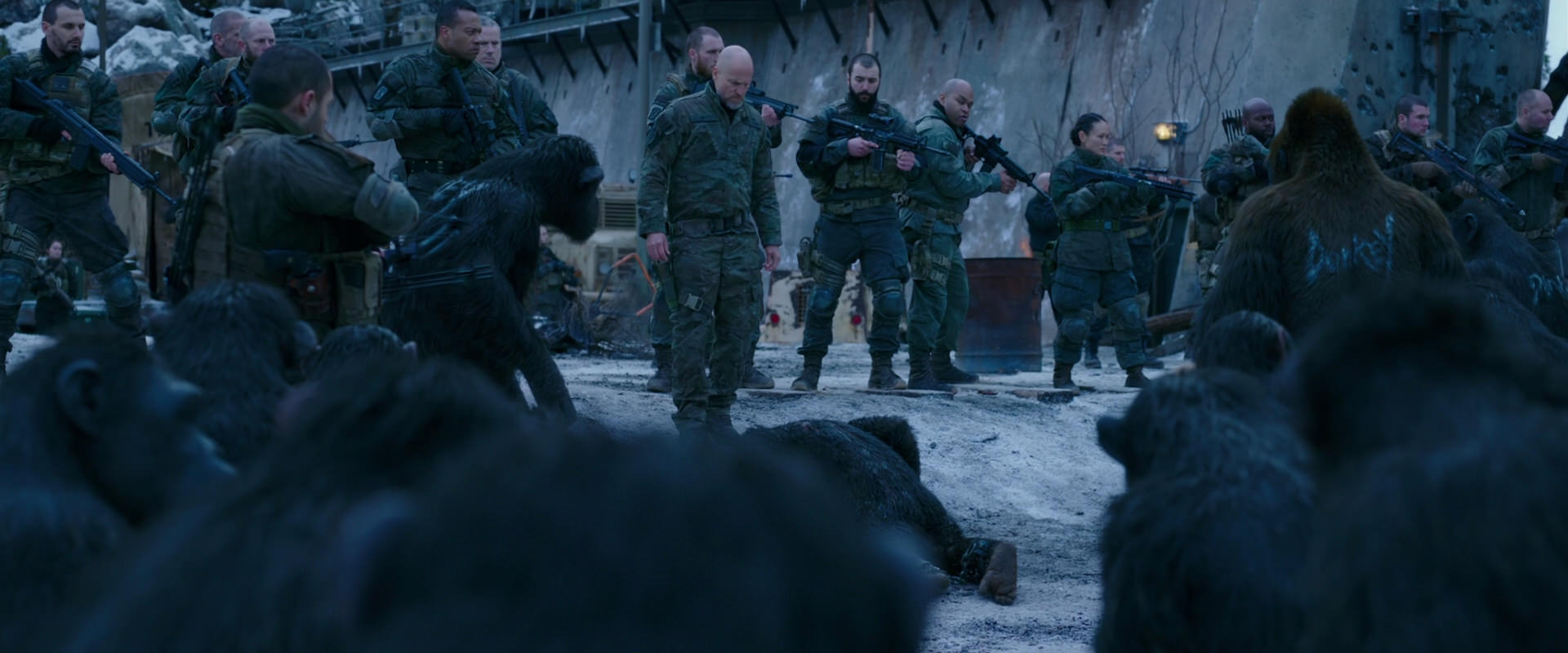 War for the Planet of the Apes (2017) HD screenshot 8558