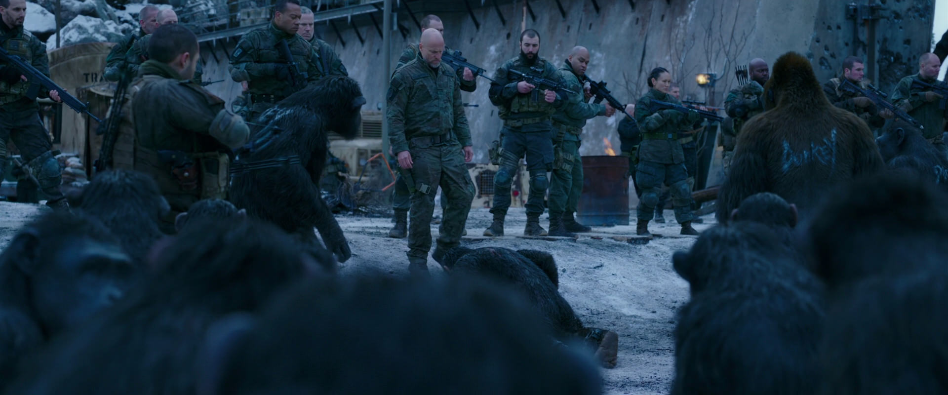 War for the Planet of the Apes (2017) screencap 8559