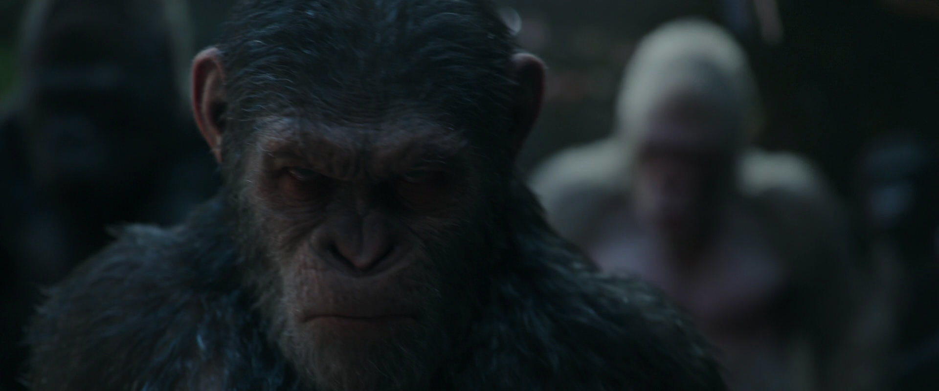 War for the Planet of the Apes (2017) movie still 856