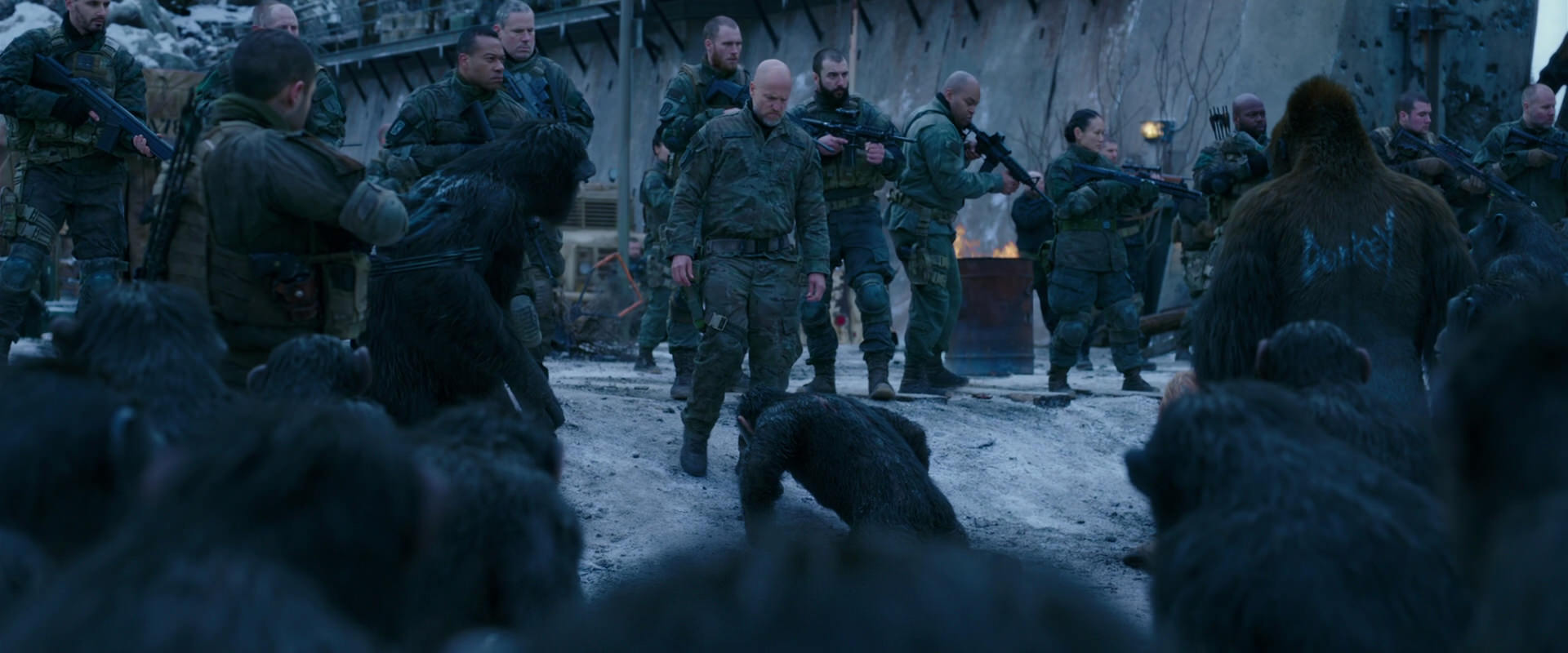 War for the Planet of the Apes (2017) HD screenshot 8561