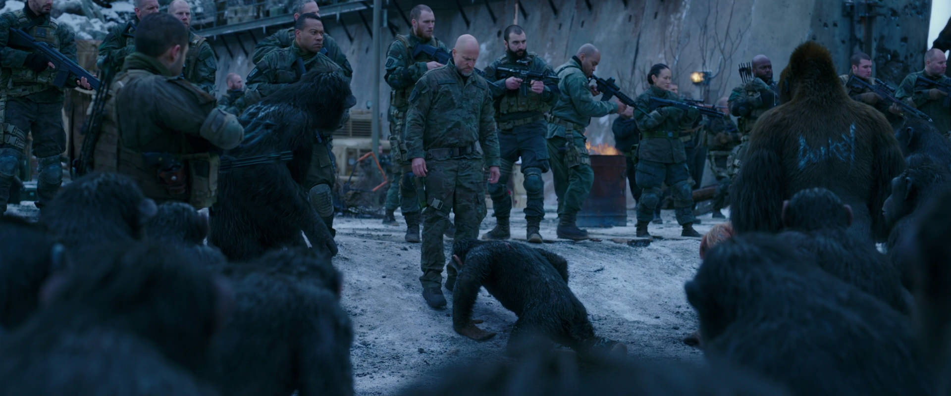 War for the Planet of the Apes (2017) screencap 8562