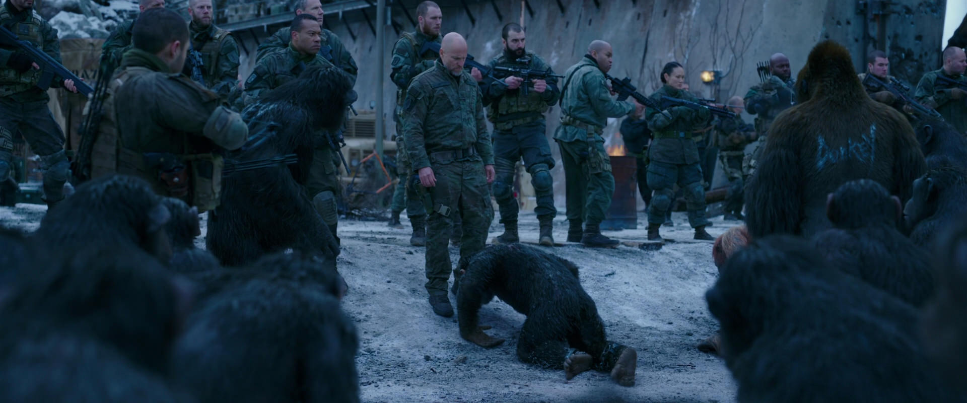 War for the Planet of the Apes (2017) movie still 8563