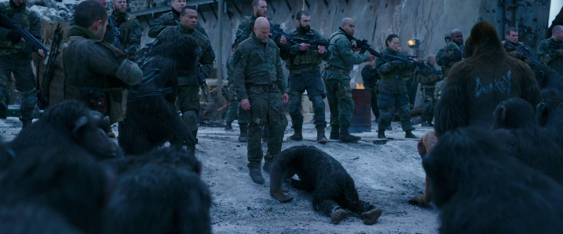 War for the Planet of the Apes (2017) HD screenshot 8564
