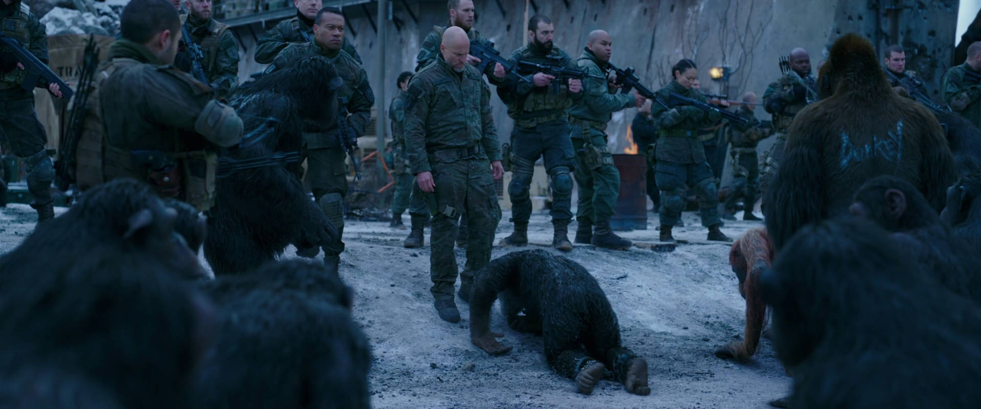 War for the Planet of the Apes (2017) screencap 8565