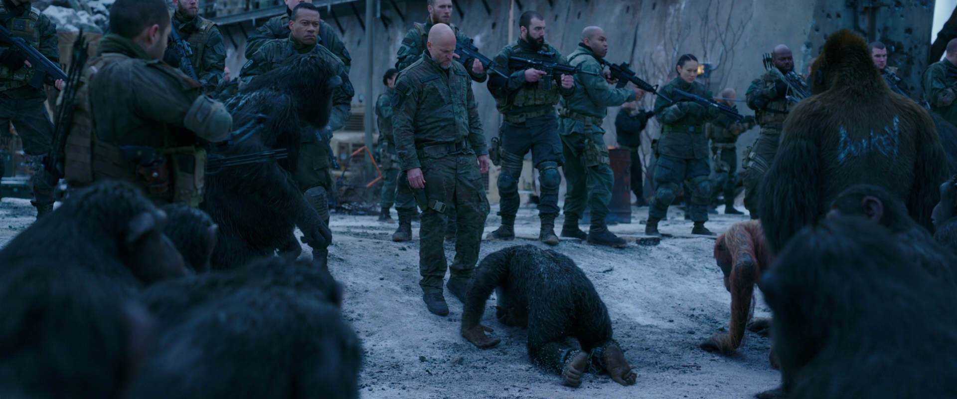 War for the Planet of the Apes (2017) movie still 8566