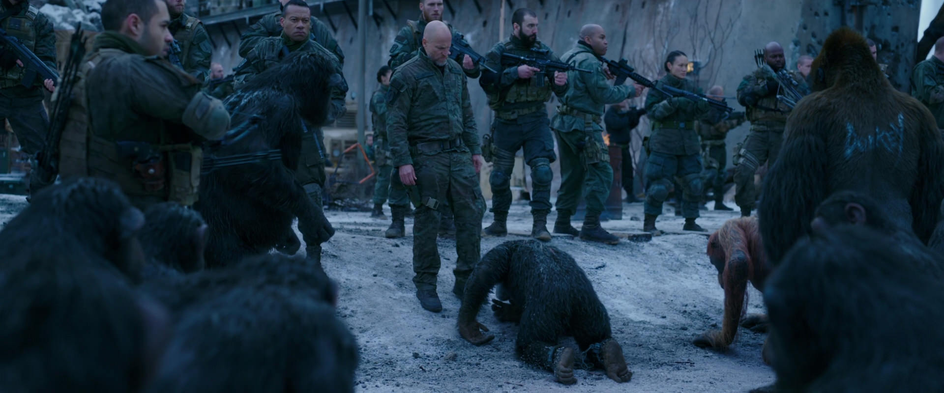 War for the Planet of the Apes (2017) HD screenshot 8567