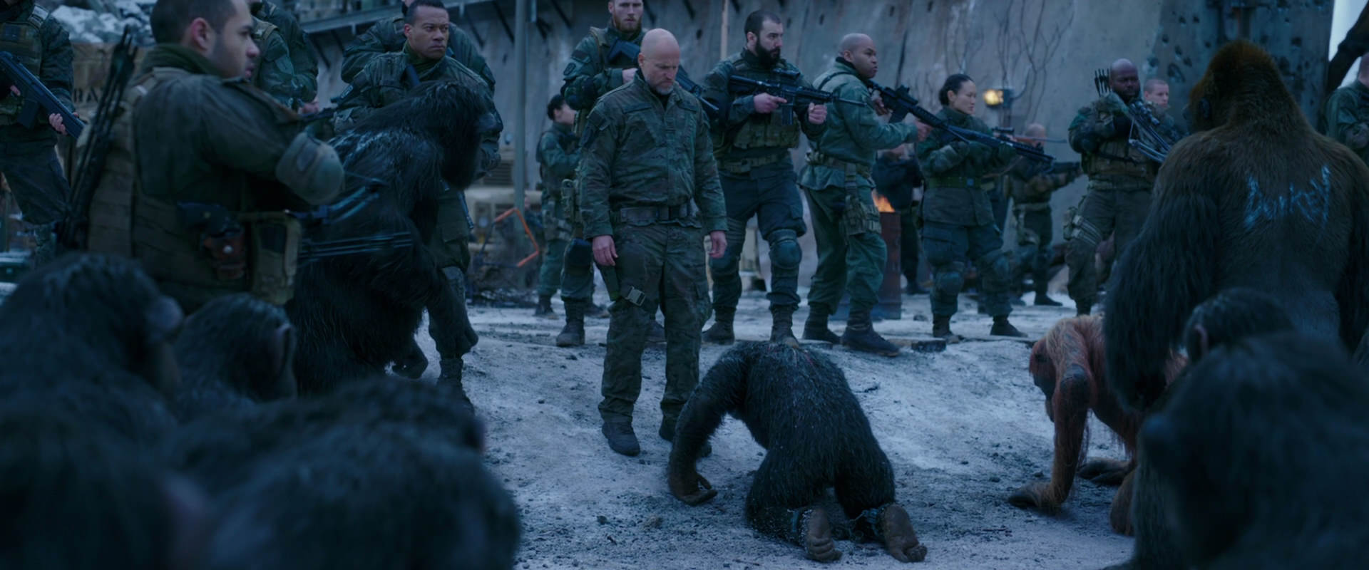 War for the Planet of the Apes (2017) screencap 8568